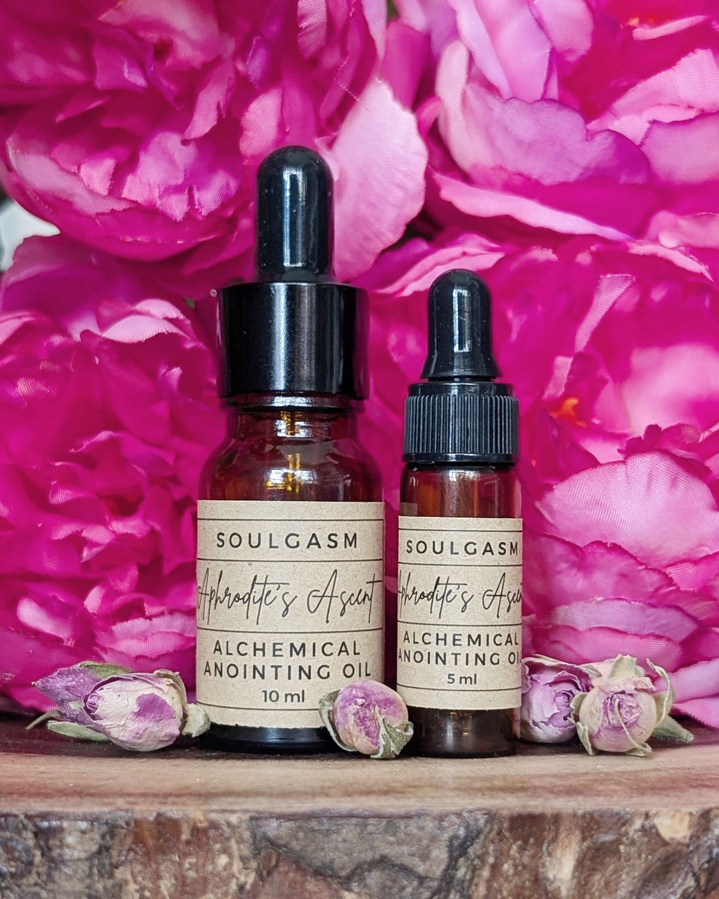 Aphrodite's Ascent (Rebirth, Self-love, Open-heartedness)