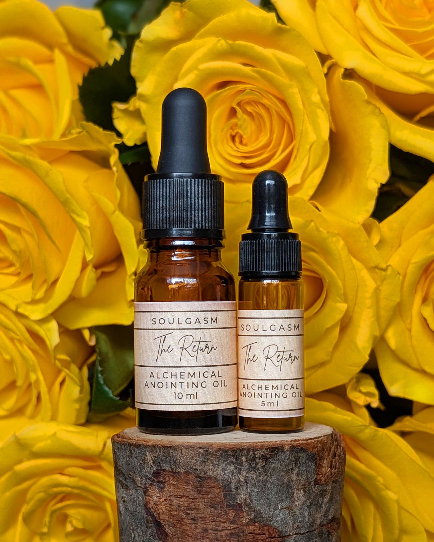 The Return (Reawakening, Ostara, Vitality)