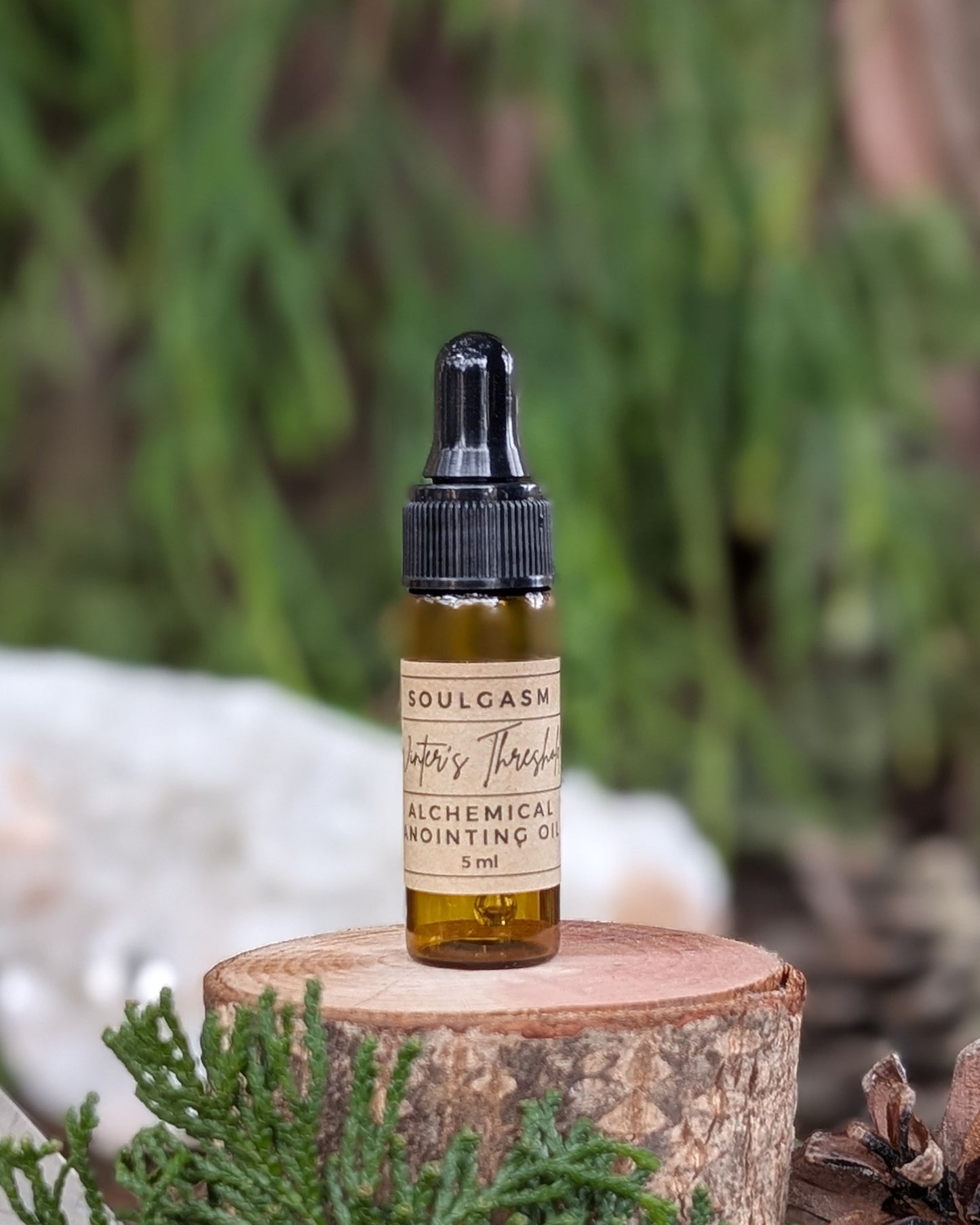 Winter's Threshold (Crone, Clarity, Ancestral Wisdom)