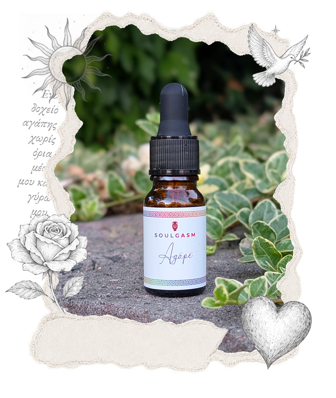10ml