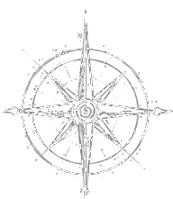 Celestial Compass Navigation
